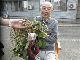 歌体操