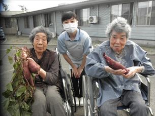 歌体操