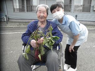 歌体操