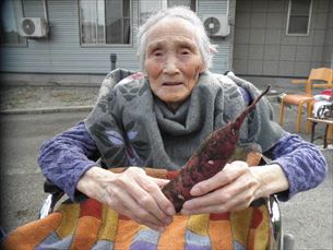 歌体操