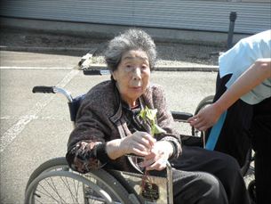歌体操